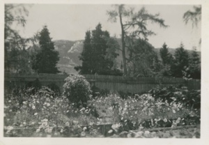 Image of Garden